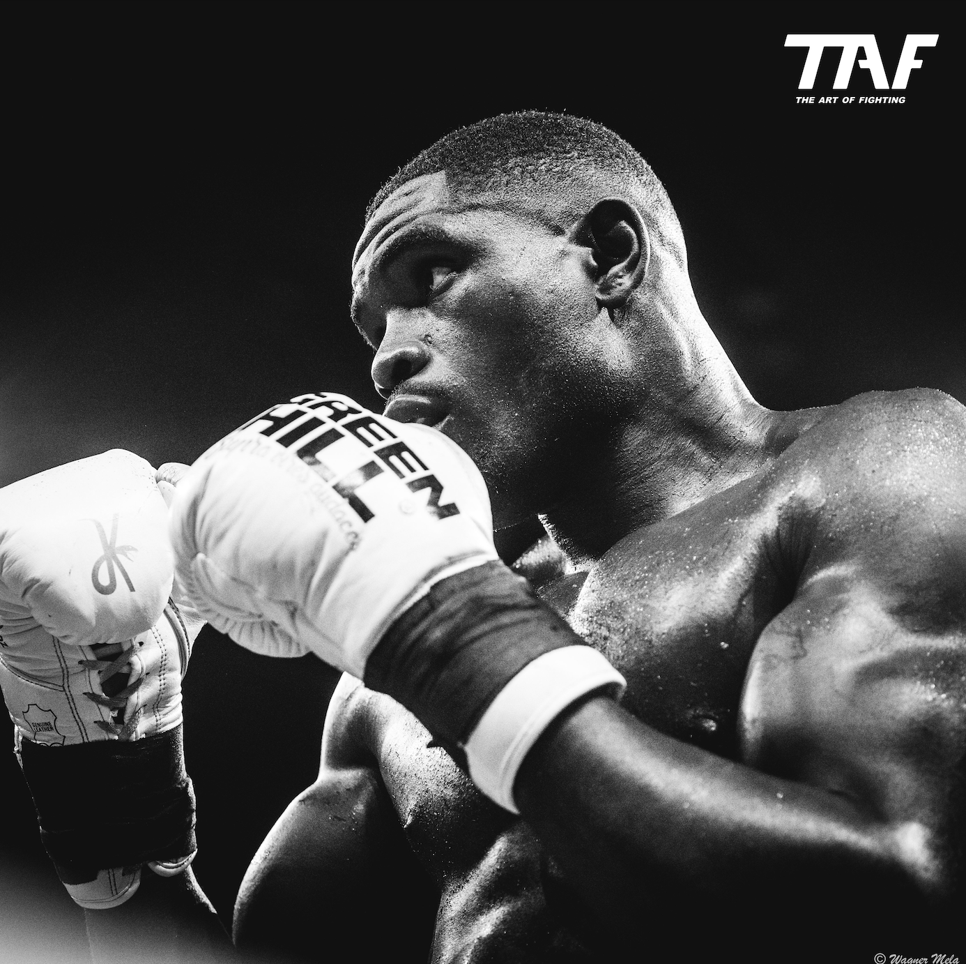 Ares, guantoni da boxe