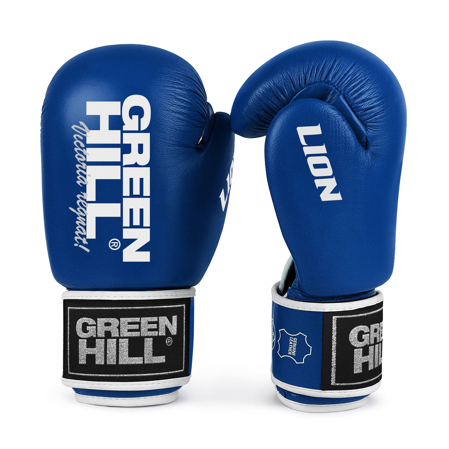 Lion (Tiger), guantoni da boxe