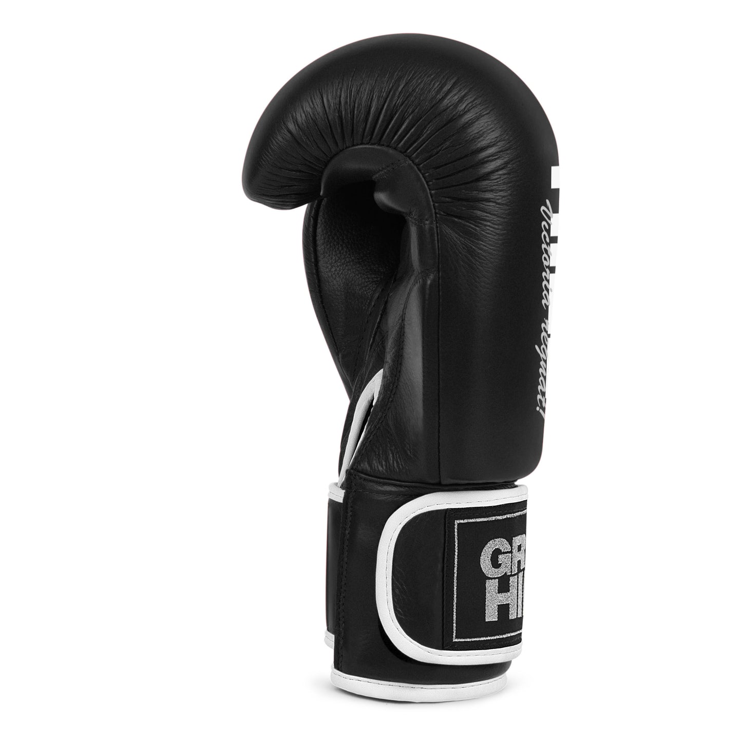 Lion (Tiger), guantoni da boxe