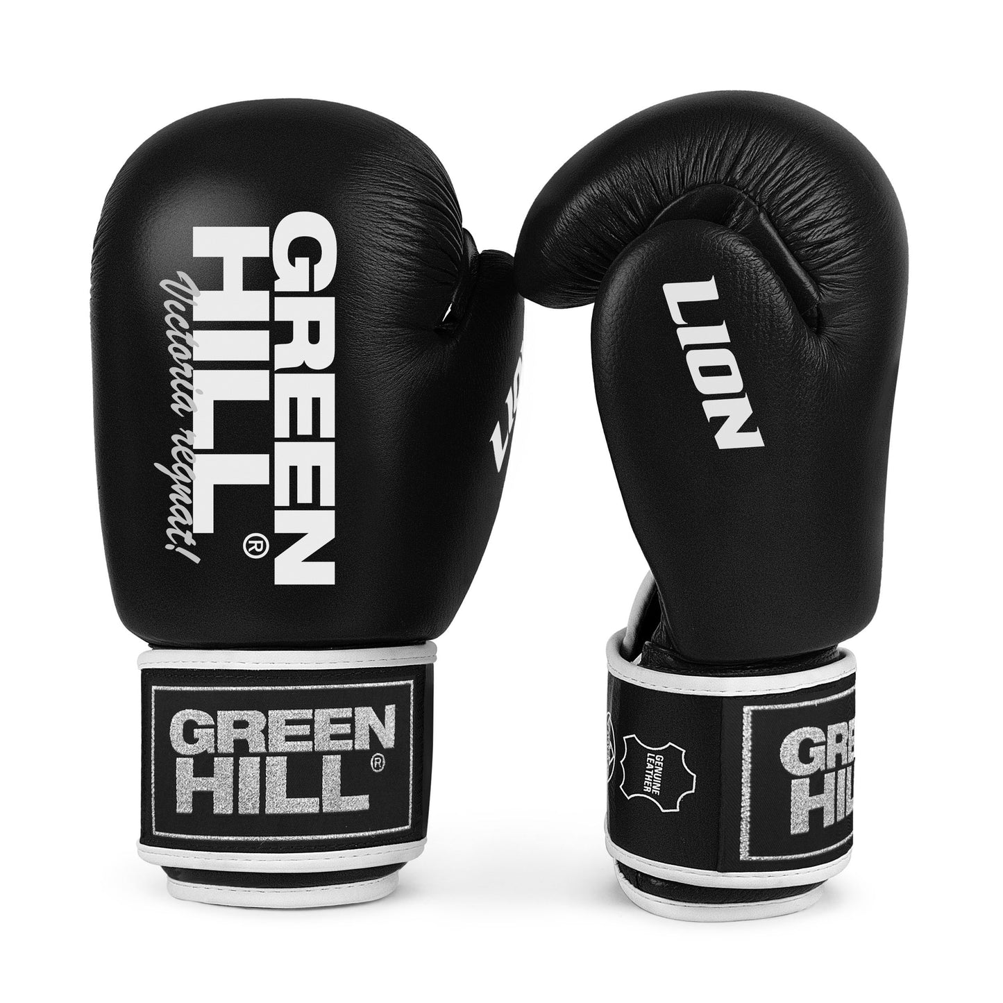 Lion (Tiger), guantoni da boxe